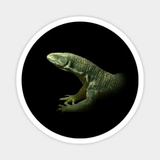 Monitor lizard Magnet